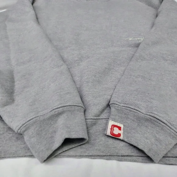 Cherry LA American Classic Crewneck in Heather Grey - Picture 5 of 10